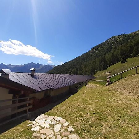 Restor Natura Malga Mondent Hotel Pracorno di Rabbi Exterior foto