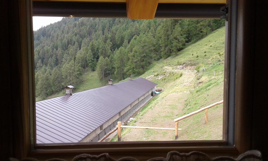 Restor Natura Malga Mondent Hotel Pracorno di Rabbi Exterior foto